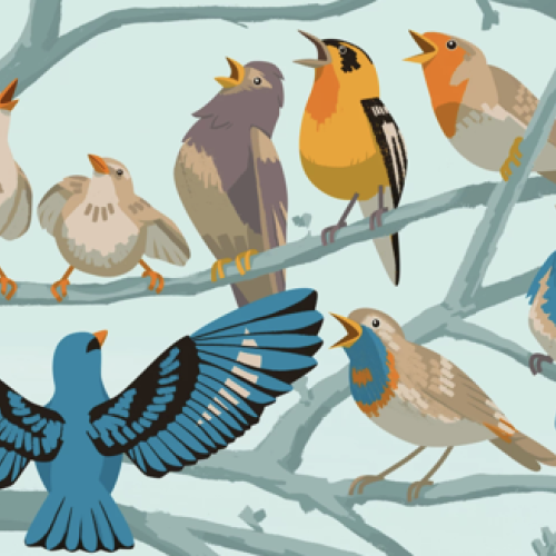 illustration of birds singing at once